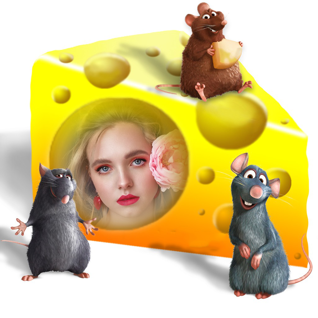 ratatouille-frame-for-your-kid-cute-photo-frames-online