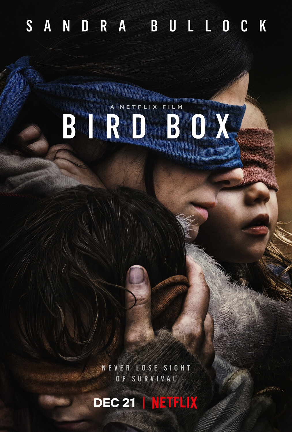 Bird Box- Featured Shot