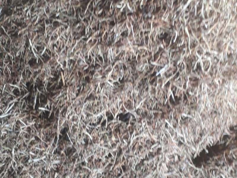 پوشال درشت برای دام