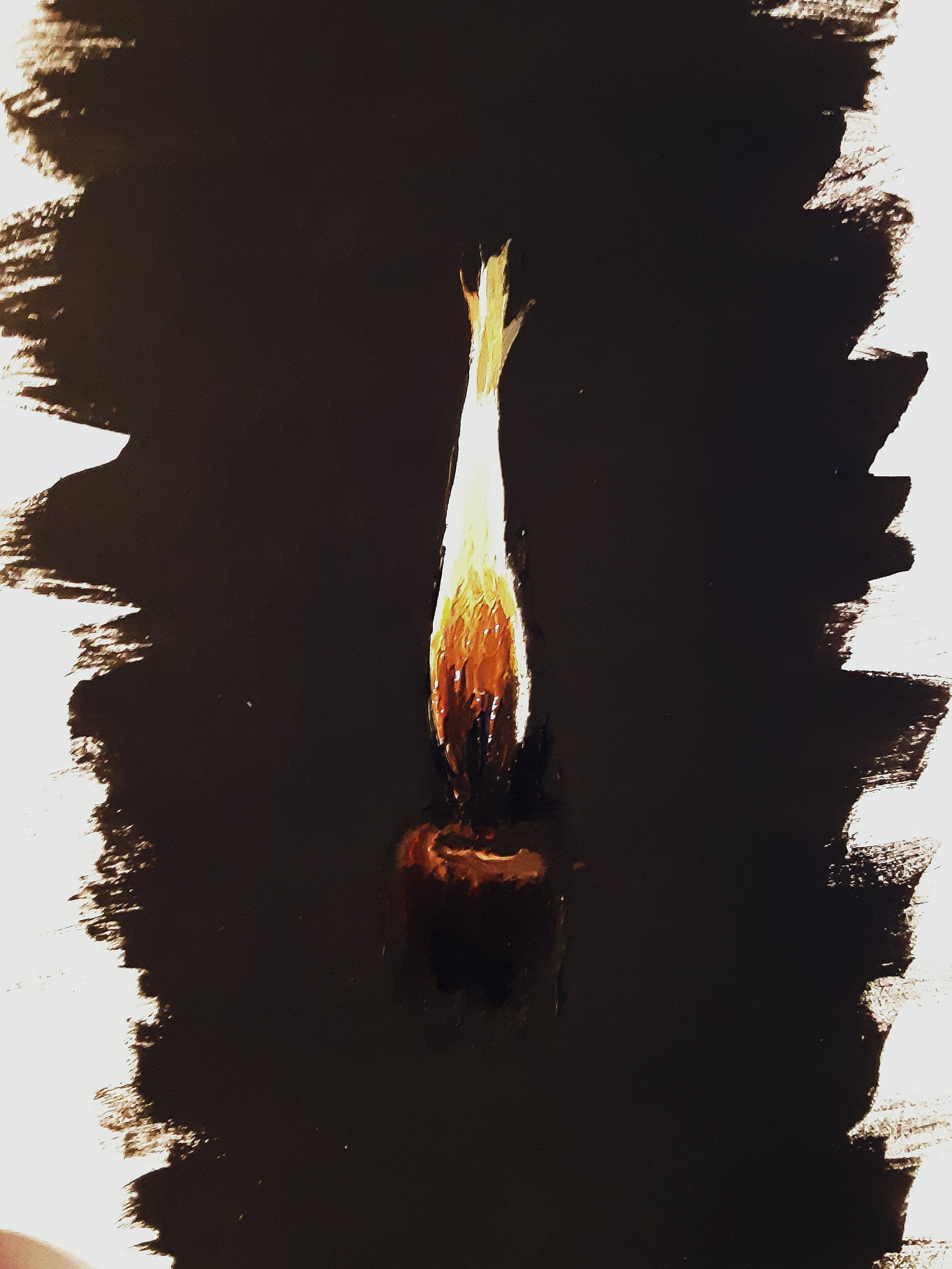 Warmth Warmth