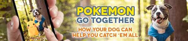 Pokemon Go Together