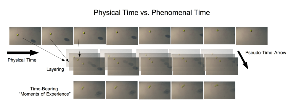 Physical Time vs. Phenomenal Time (video source(“Slow-Motion Ball Drop (Parabolic Arc),” n.d.))
