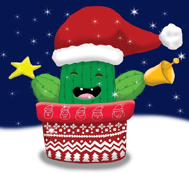 Christmass - Cactus