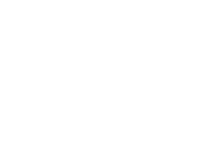 logo-lilly-reverse