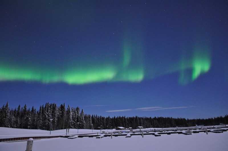 Northern lights above trees and a parking lot Northern lights above trees and a parking lot
