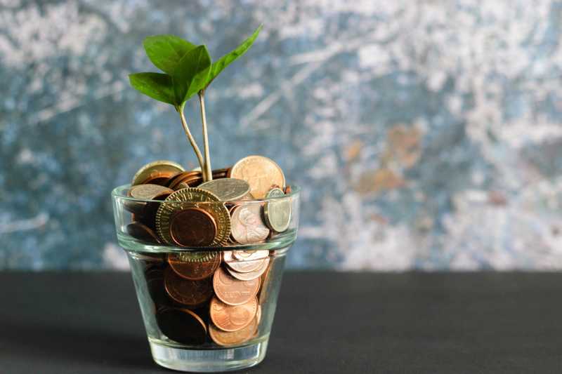 Et glass med mynter som står på en mørk overflate. Det spirer en plante opp fra myntene. Bakgrunnen er blå og hvit.