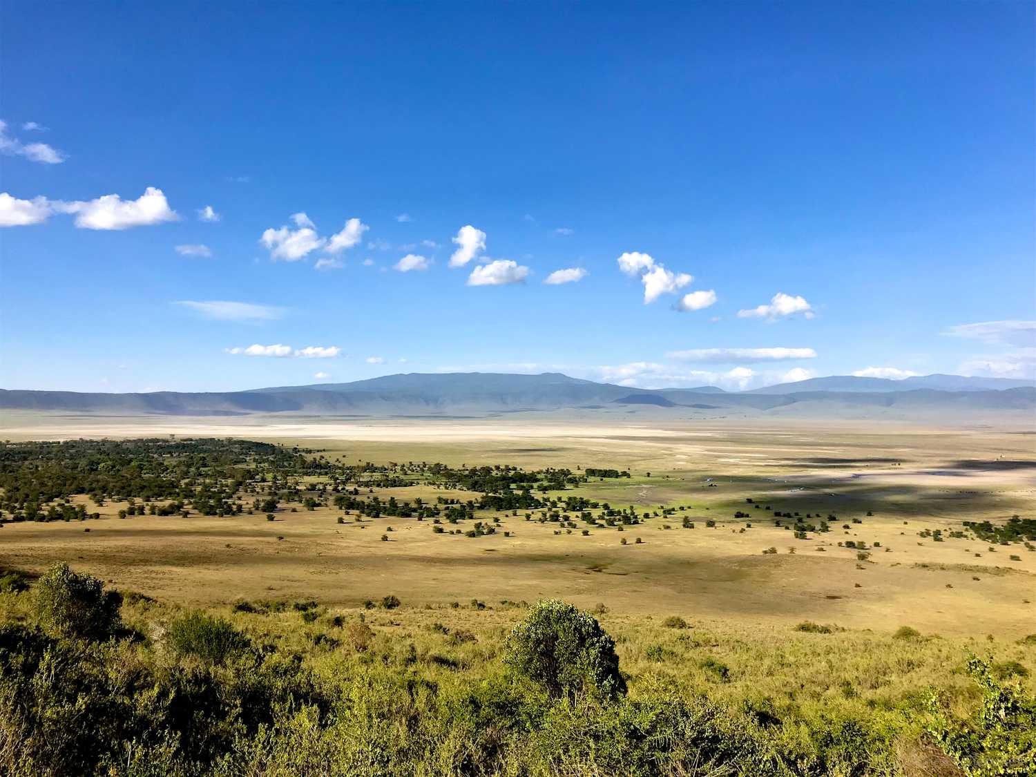 Tanzania Ngorongoro Crater Plane