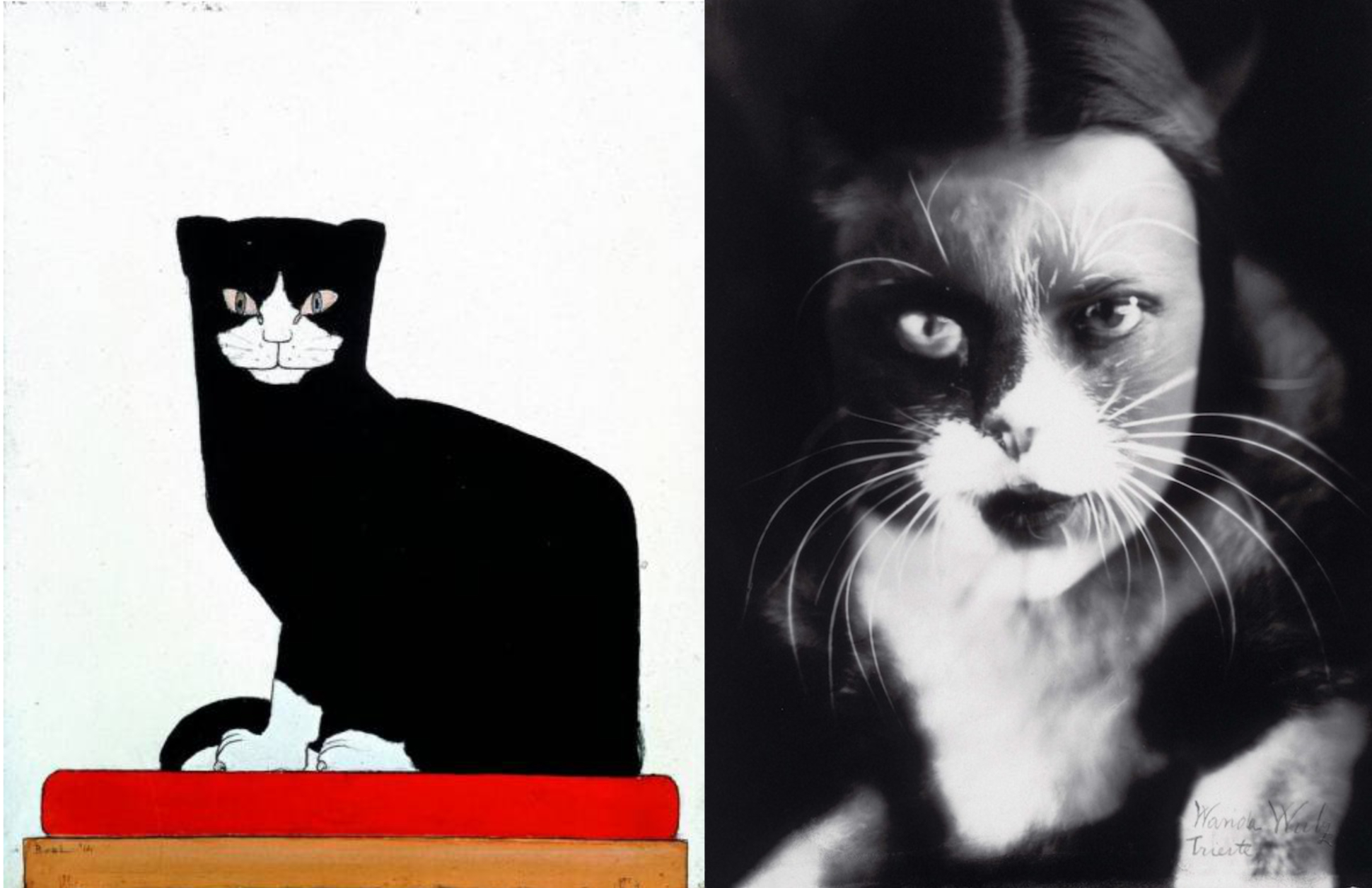 Bart van der Leck, De kat, 1914 - Wanda Wulz, Ik en de kat, 1932