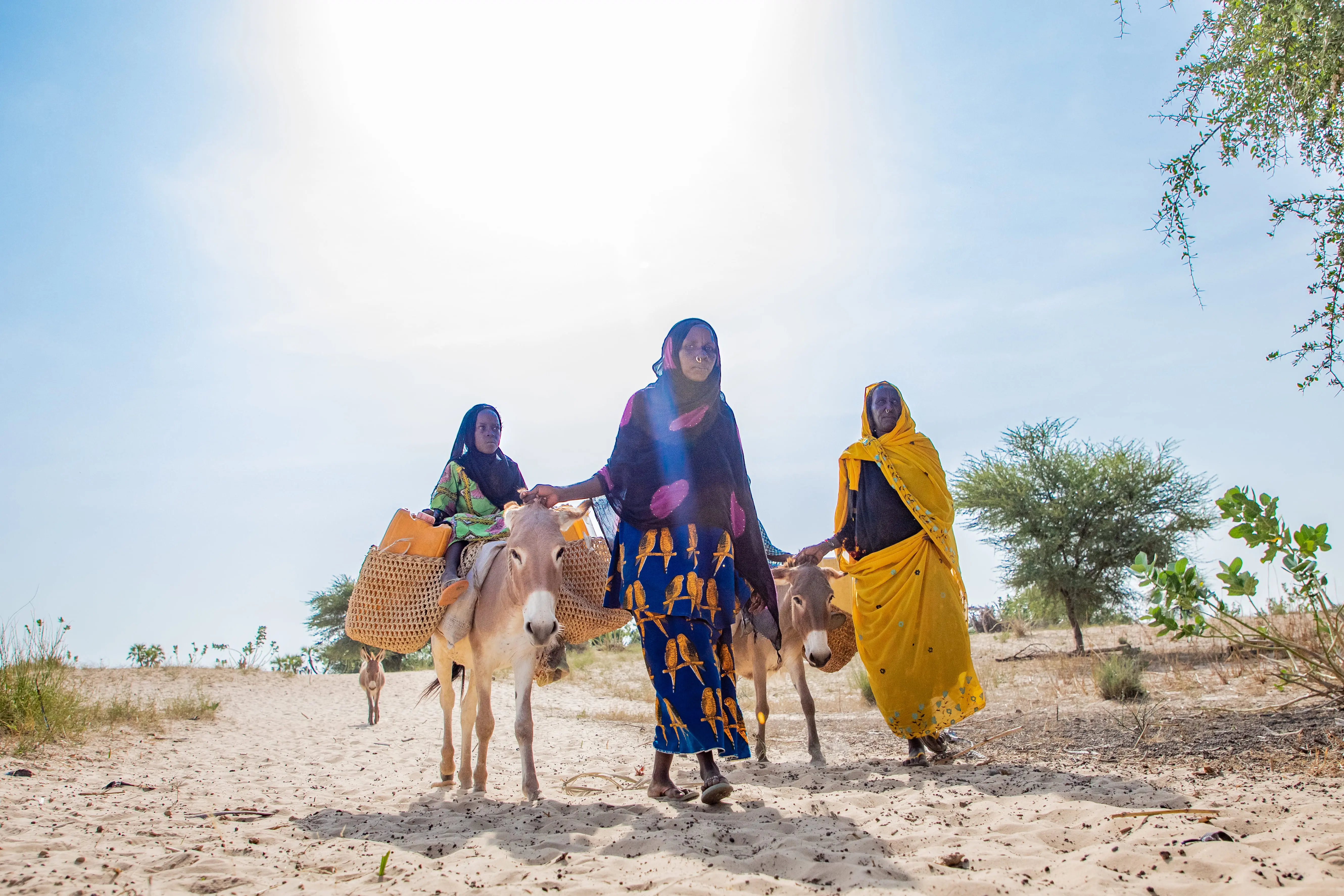Three women with camels travel far distances to find water in rural Chad.