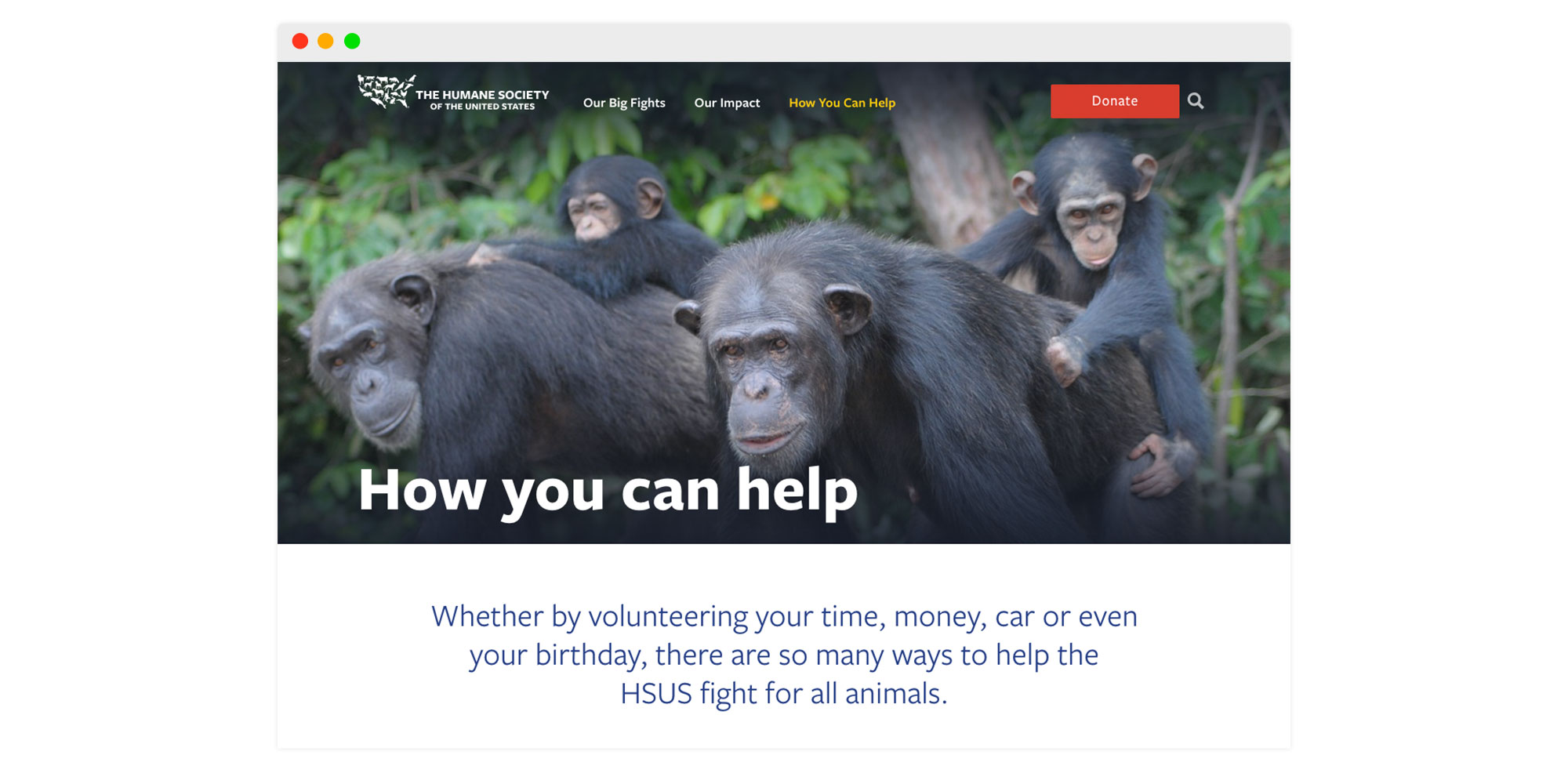 How you can help