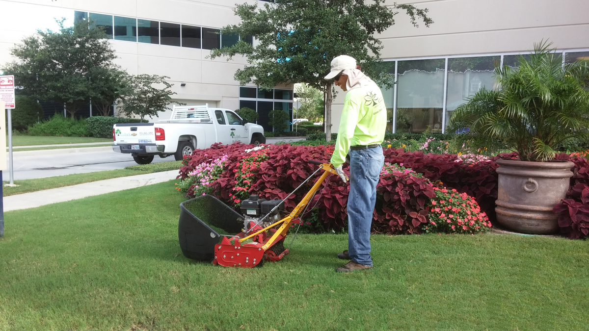 Commercial Landscape Maintenance