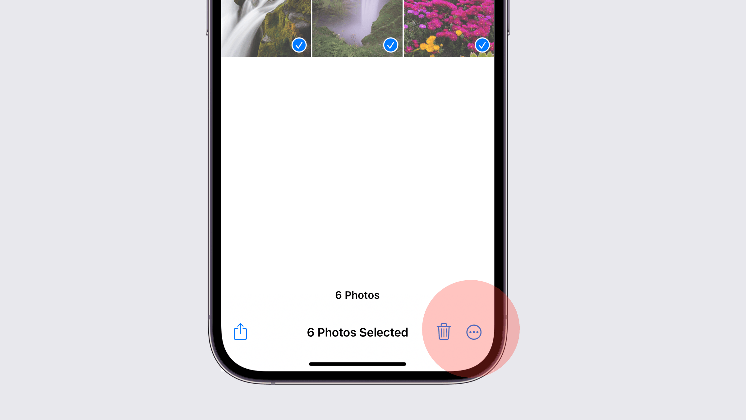 Photos on iOS 16 showing a more button at the bottom.