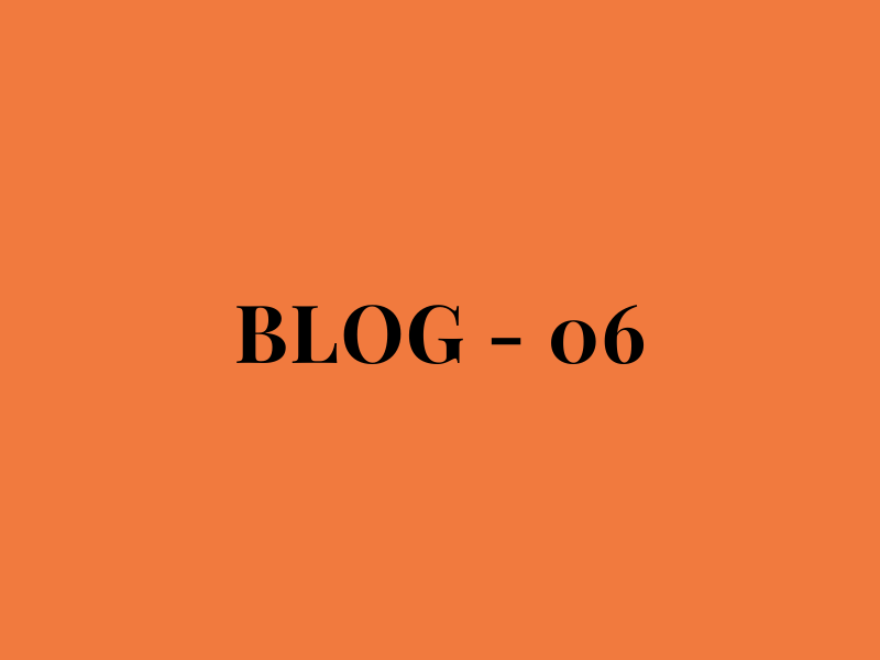 Blog Number 06