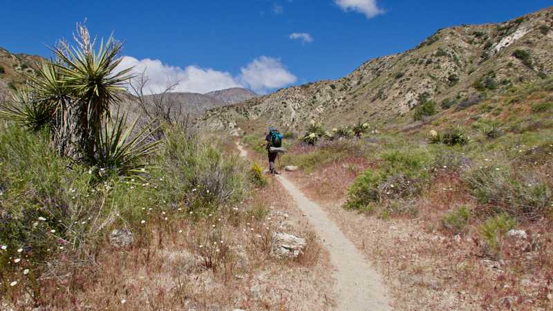 Tengo Hambre on ascending trail