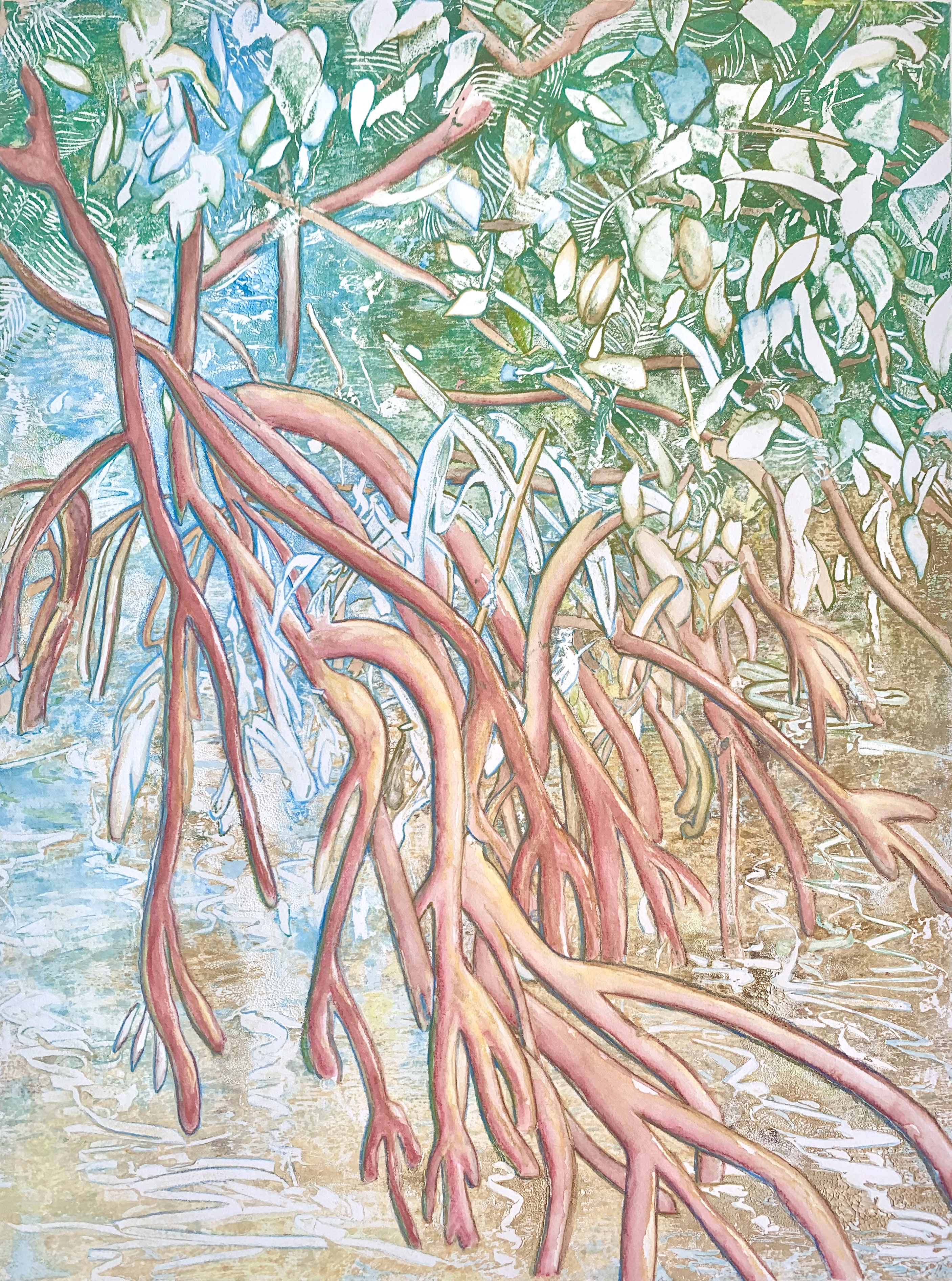 Red Mangroves image