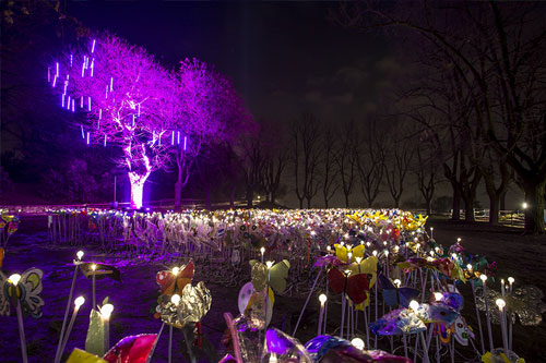 Serata da record per CidneOn 2018