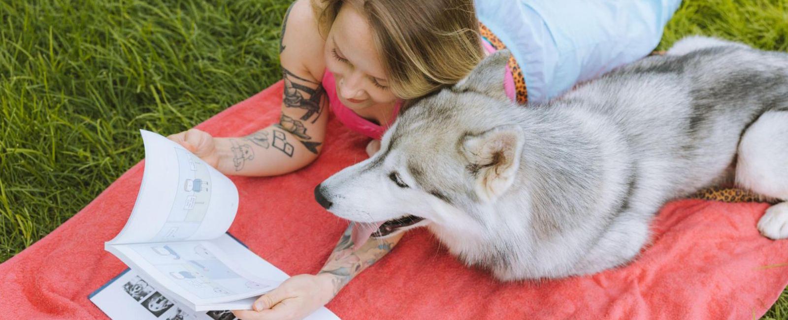 The Intelligent Canine: How Many Total Words Can a Dog Learn?