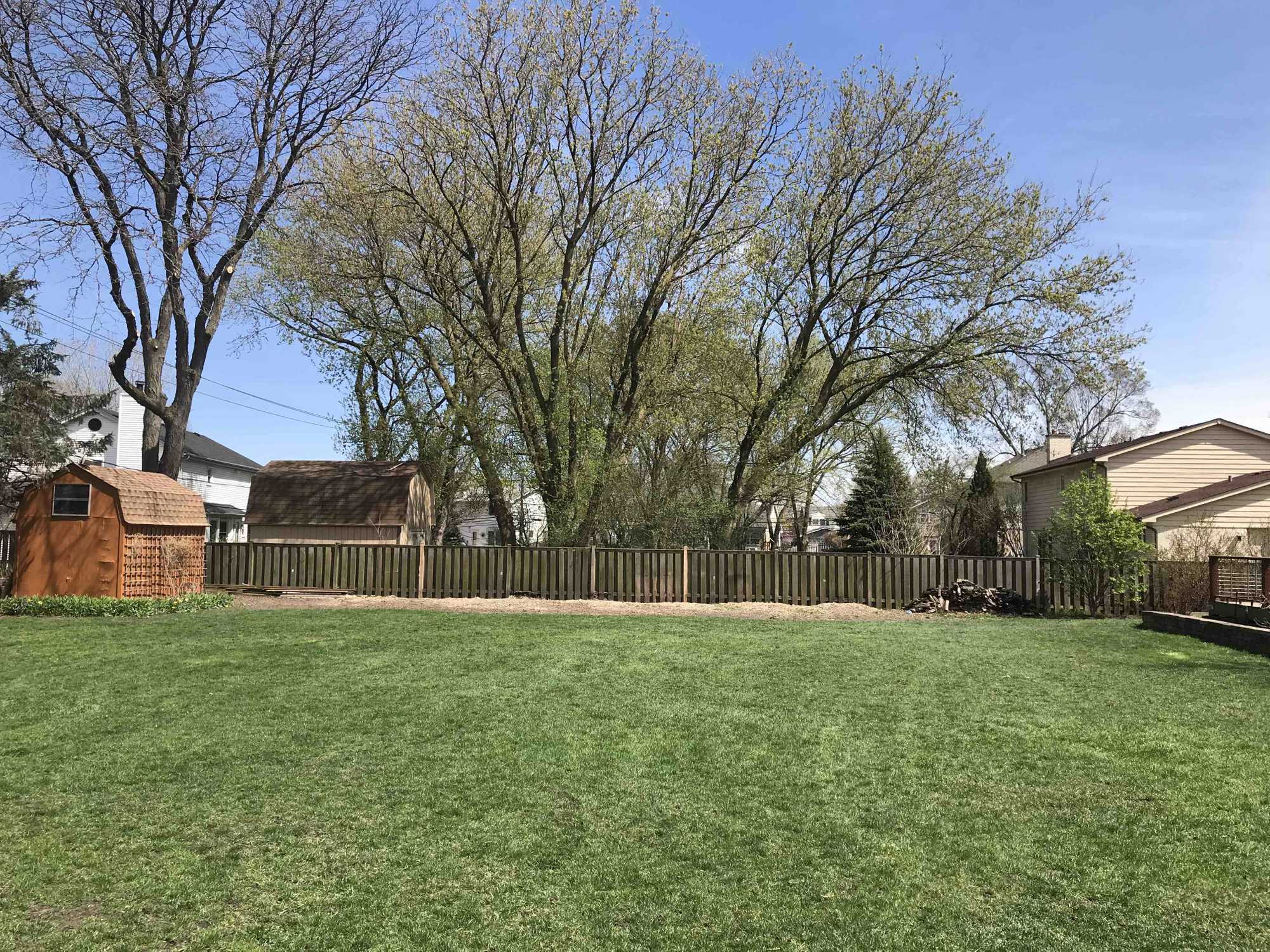 After Tree Removal After Tree Removal