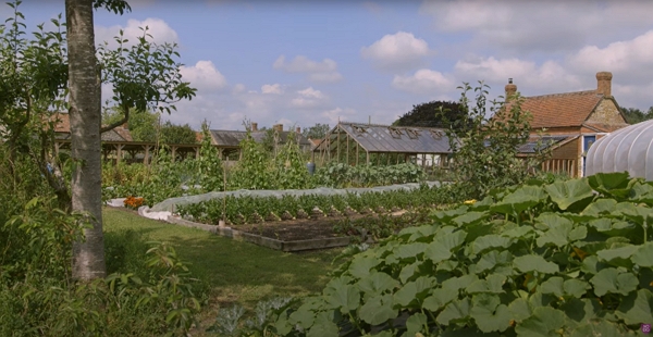 Homeacre garden in July 2019