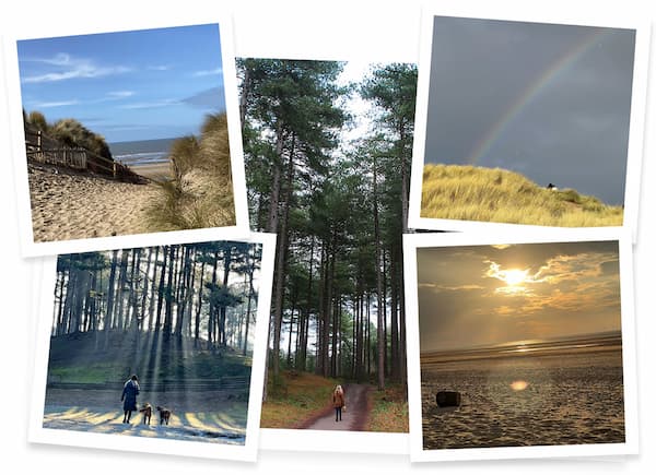 Collage of photos showing Formby beach and nature reserve