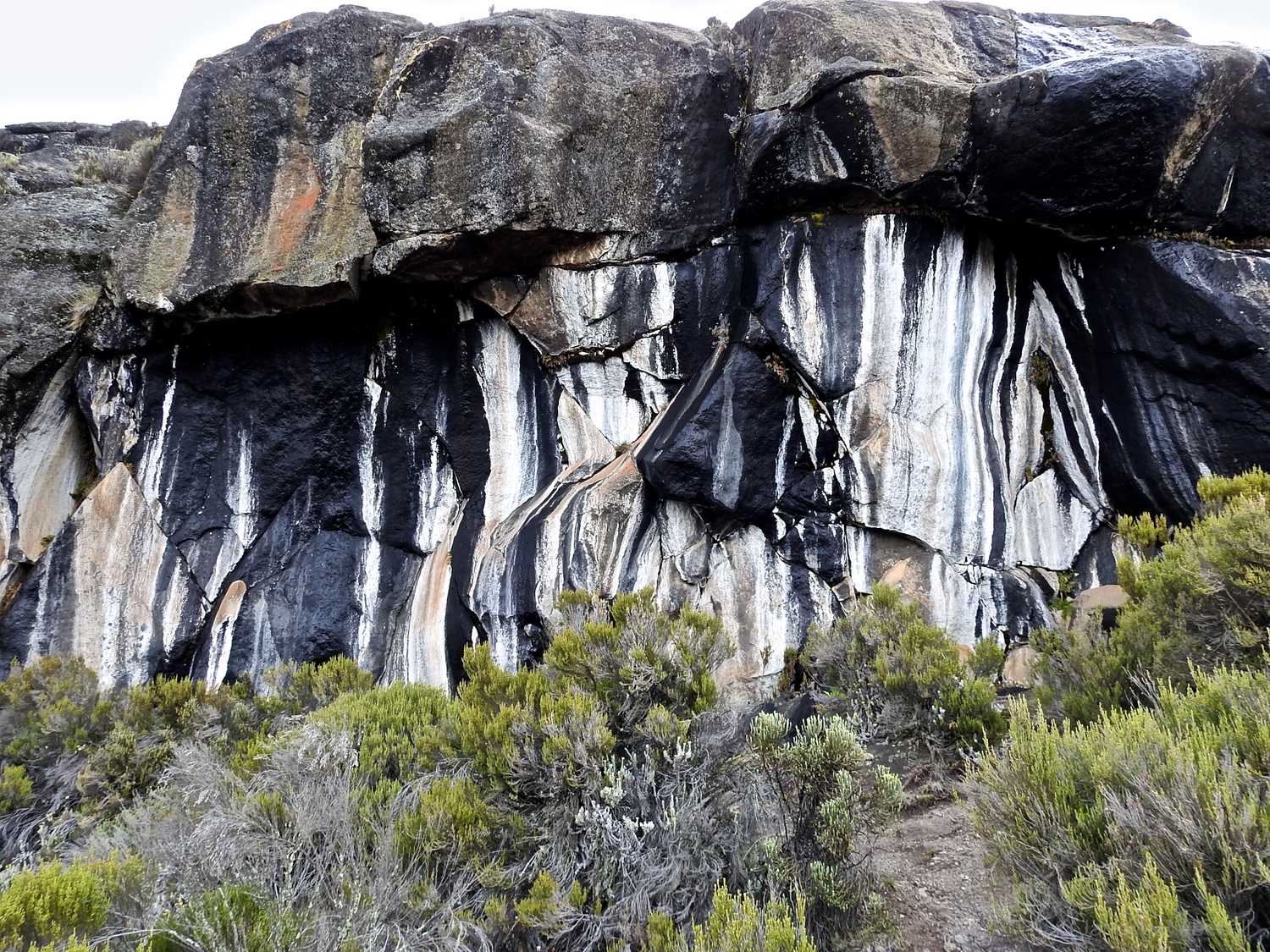 Tanzania Zebra Rocks