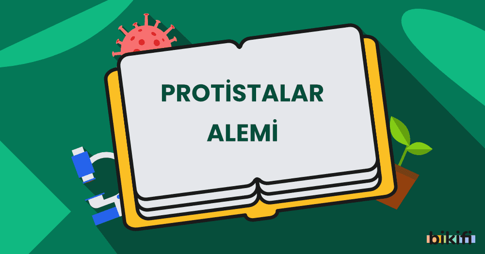 Protistalar Alemi