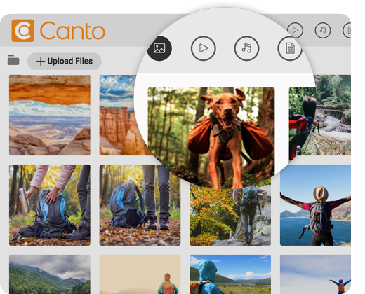 Picture of the Canto backend and the image library