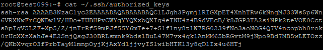 authorized_keys file allowing the holder of the corresponding private key to authenticate to our server authorized_keys file allowing the holder of the corresponding private key to authenticate to our server