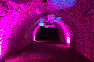 Inaugurazione di successo per CidneOn 2018