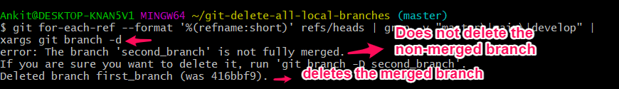 delete-all-local-branches-in-git-delft-stack