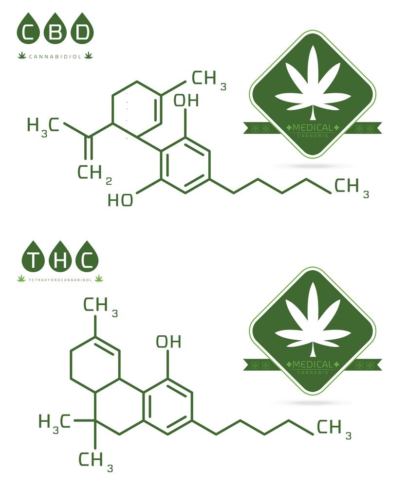 CBD Vs. THC: Get The Facts About The Difference