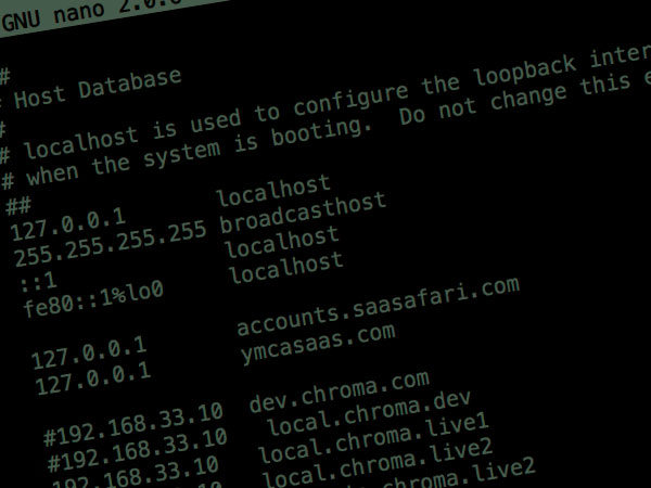 How to use local dns for web development