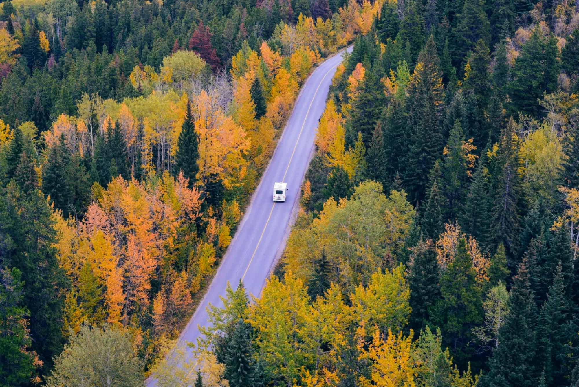 Car driving down a road in nature.