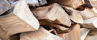 TreeWorld image for Logs and woodchip
