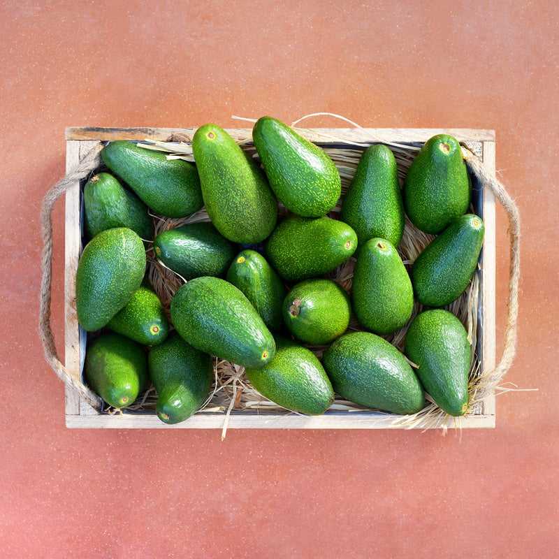 Epicerie-grecque-produits-grecs-fruit-box-of-fresh-greek-bio-avocados-1kg-crete-greek-savours