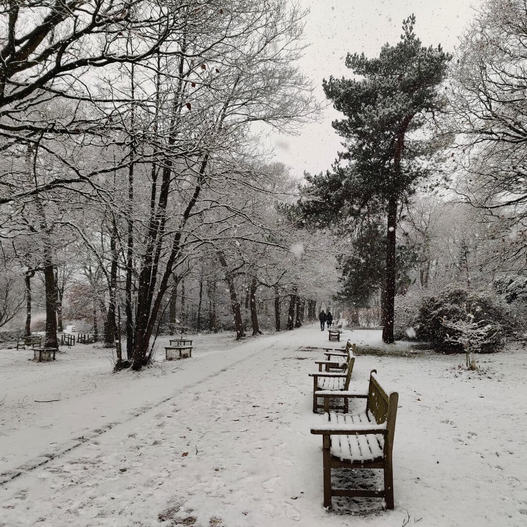 Golden Acre Park path in the snow