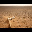 Sudan Meroe Sand 23