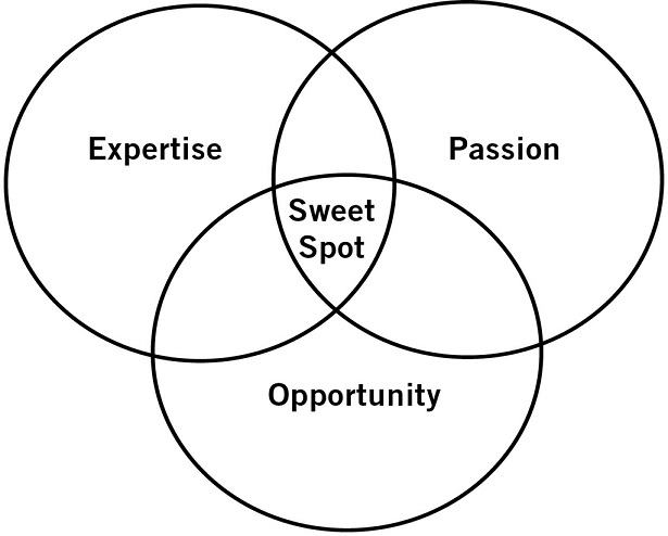 Expertise Opportunity Passion Sweet Spot