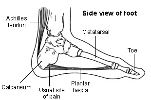 "Plantar