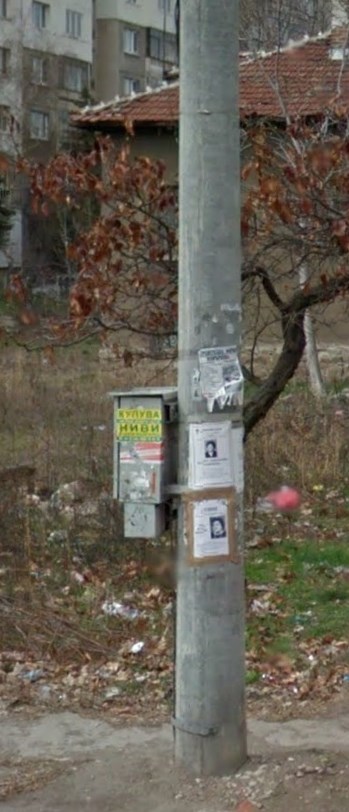 flyers on a pole