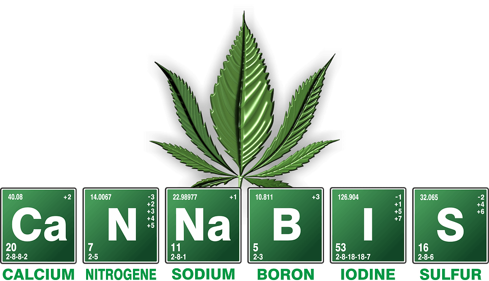 Cannabis' Chemical Medical Uses