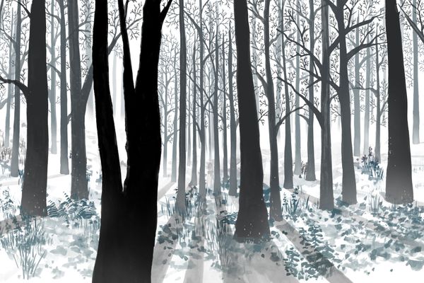 Seasons (winter)