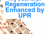 Regenerative Medicine and Stem Cells