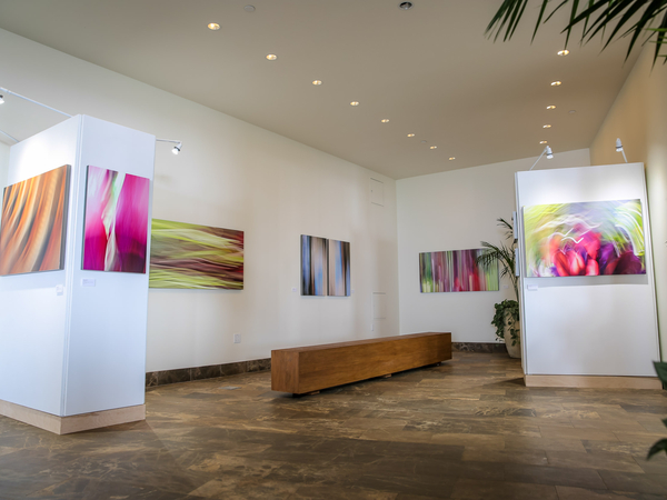 Shane Robinson Art Gallery Wailea Opens Andaz Maui