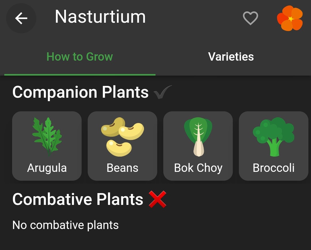 Screenshot of nasturtium companion plants in Planter