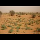 Sudan Desert Walk 10