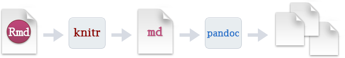 Flowchart of the route from .Rmd file to compiled document