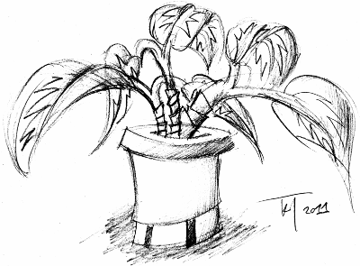 Plant Sketch