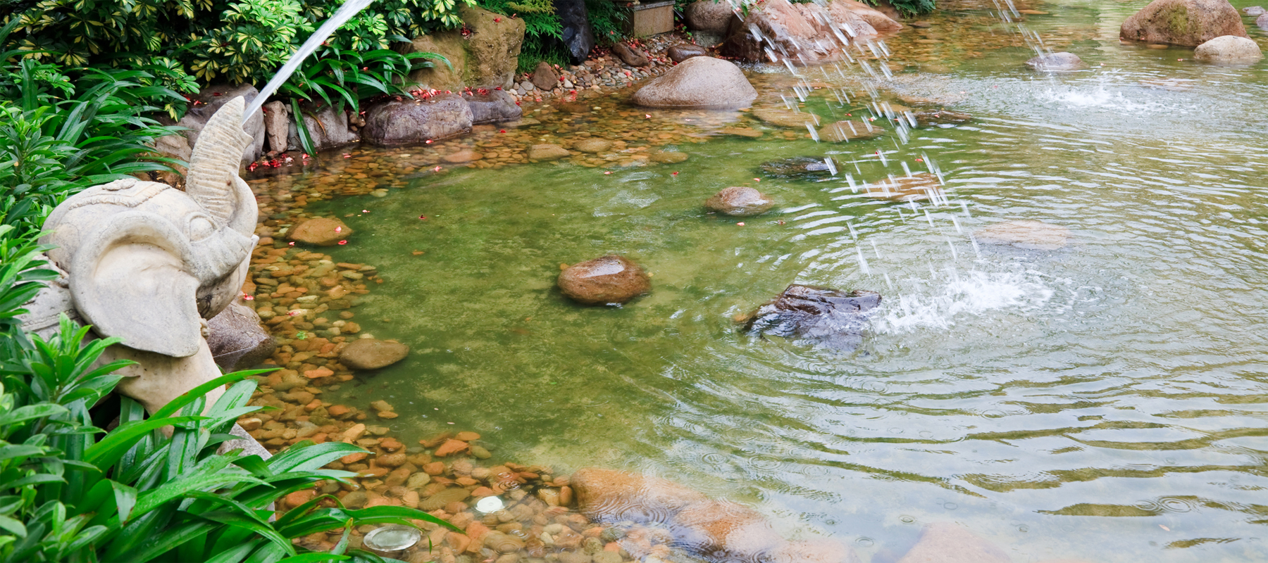 Garden or Koi Pond Installation Prices [2022] How Much Does it Cost to