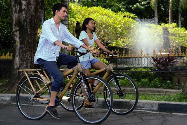 Magic Green - Bamboo Bicycles